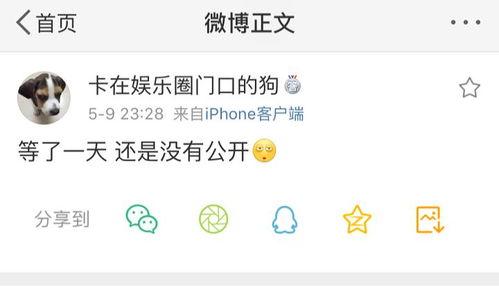 吃瓜是什么意思 独家爆料,吃瓜群众背后的真相与爆料风云